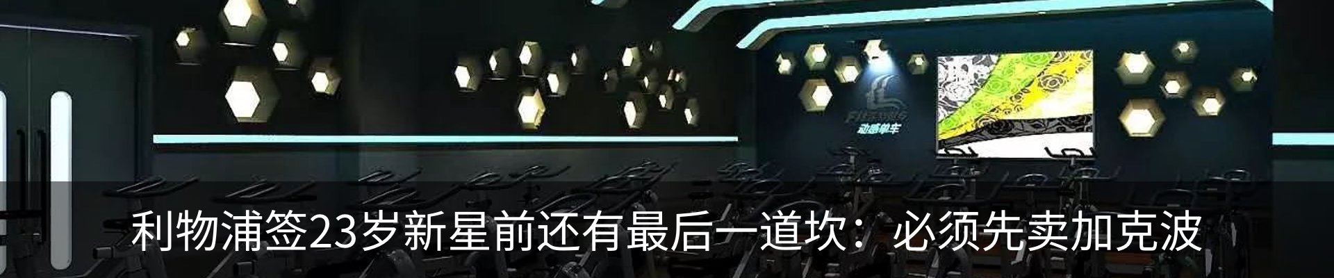 最新动态