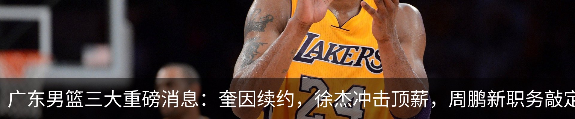 最新动态