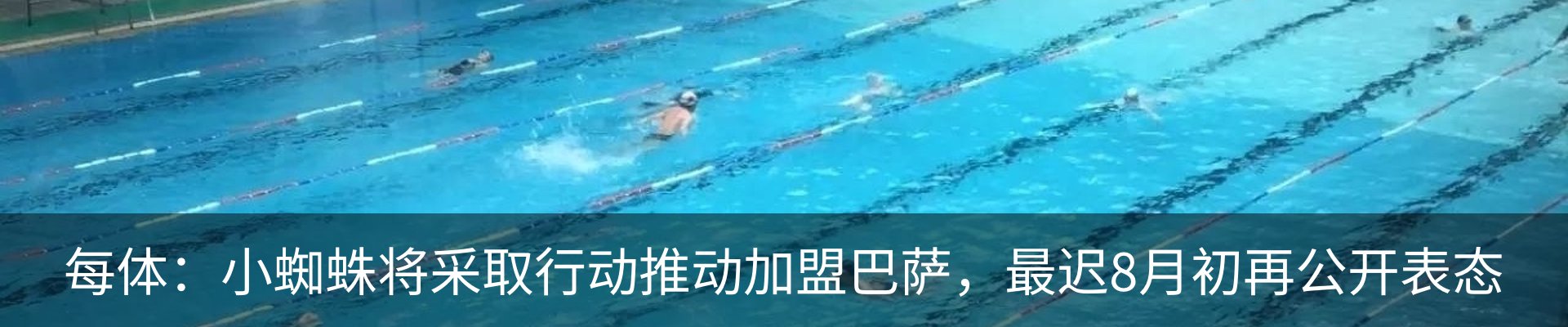 最新动态