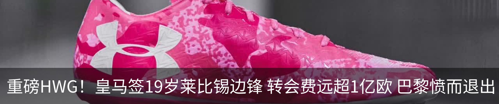 最新动态