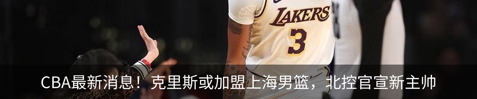 最新动态